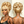 Bequeen Updo Natural Black Bangs Wig