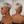 Bequeen Machine Made Fashion Topper2