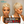 Bequeen Pixie Cut Wig Special Style (Limited Time Sales)