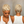 Bequeen Pixie Cut Wig Special Style (3 Colors)