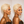 BeQueen #60 Cool Frontal Lace Wig 100% Human Hair