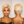 BeQueen #60 Cool Frontal Lace Wig 100% Human Hair