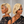 Bequeen 613 Blonde Color Sexy Side Part Bob Wig