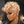Bequeen Blonde Machine Made Pretty Curl Pixie Cut Wig