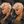 Bequeen Blonde Machine Made Pretty Curl Pixie Cut Wig