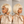 Bequeen Blonde Short Bob Wig