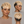 Bequeen Blonde Voltage Sexy Topper