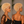 Bequeen Curly Short Pixie Cut  Full Lace Wig