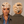 Bequeen Two Color Highlight Blonde Side Part Pixie Short Cut Wig