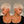 Bequeen White Natural Style Pixie Cut Wig
