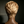 Bequeen Light Blonde Frame Sexy 13×4 Frontal Lace Pixie Short Cut Wig