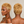 Bequeen Machine Made Bronze Super Short Wave Style Pixie Wig