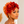 Bequeen Red Front #350 Back Finger Wave Pixie Short Cut Wig