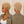 Bequeen TWA Curly Edge Style 13×4 Lace Pixie Full Cap Wig