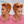 BeQueen Wig PIXIE WIGS Bequeen Amber Waves Pixie Lace Wig