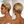BeQueen Wig PIXIE WIGS Bequeen Ash Slick Pixie Lace Wig