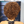 BeQueen Wig PIXIE WIGS Bequeen Brown Curly Pixie Wig