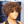 BeQueen Wig PIXIE WIGS Bequeen Brown Curly Pixie Wig