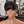 BeQueen Wig PIXIE WIGS Bequeen Burgundy Wine Pixie Wig