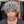 BeQueen Wig PIXIE WIGS Bequeen Elegance Curly Salt and Pepper Wig
