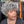 BeQueen Wig PIXIE WIGS Bequeen Elegance Curly Salt and Pepper Wig