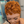 BeQueen Wig PIXIE WIGS Bequeen Finger Wave Orange Pixie Wig