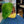 BeQueen Wig TOPPER & MOHAWK Bequeen Green Sexy Topper
