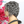 BeQueen Wig PIXIE WIGS Bequeen Salt And Pepper 13X4 Frontal Lace Wig