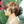 BeQueen Wig PIXIE WIGS Bequeen Two-Color  Straight Pixie Cut Wig