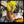 BeQueen Wig PIXIE WIGS Bequeen Yellow Side Part Short Cut Pixie Wig