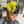 BeQueen Wig PIXIE WIGS Bequeen Yellow Side Part Short Cut Pixie Wig