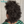 BeQueen Wig TOPPER & MOHAWK Bequeenb Kinky Curly Mohawk Style(Not A Wig)