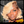 BeQueenWig Bequeen 613 Layer Dark Root BoB Party