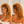BeQueenWig TOPPER & MOHAWK BeQueen Bronze Sheep-roll Style 12 inch Long Topper Unit(Not A Wig)