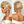 overseas PIXIE WIGS Bequeen 13X4 Lace #60 Wave Style Pixie Short Cut Wig