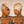 overseas TOPPER & MOHAWK Bequeen #613 Blonde Side Part Straight Style Topper Unit For Black Women