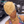 overseas PIXIE WIGS Bequeen 613 Short Fashion Lace Wig