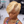 overseas PIXIE WIGS Bequeen 613 Short Fashion Lace Wig