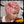 overseas PIXIE WIGS Bequeen Cotton Candy Short Cut Fashion Pixie Wig