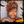 overseas Workout Wig Bequeen Curly Sunset Workout Wig With Hair Tie