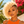 overseas TOPPER & MOHAWK Bequeen Sunshine Golden Side Part Curly Topper