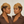 overseas Personality Energy Wig Freedom - Free Spirit