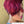 Bequeen 99J Side Part Layer Pixie Wig