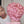 Bequeen Cotton Candy Short Cut Fashion Pixie Wig
