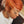 Bequeen Fiery Edge Pixie Lace Wig