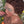 Bequeen Brown Curly Lowcut Elegance Frontal Lace Wig