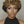 Bequeen Frontal Brown Cute Styled Pixie Wig