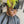 Bequeen Yellow Side Part Short Cut Pixie Wig