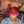 Bequeen Red Machine Made Short Pixie Wig