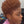 Bequeen Short Cut Elegance Pixie Lace Wig